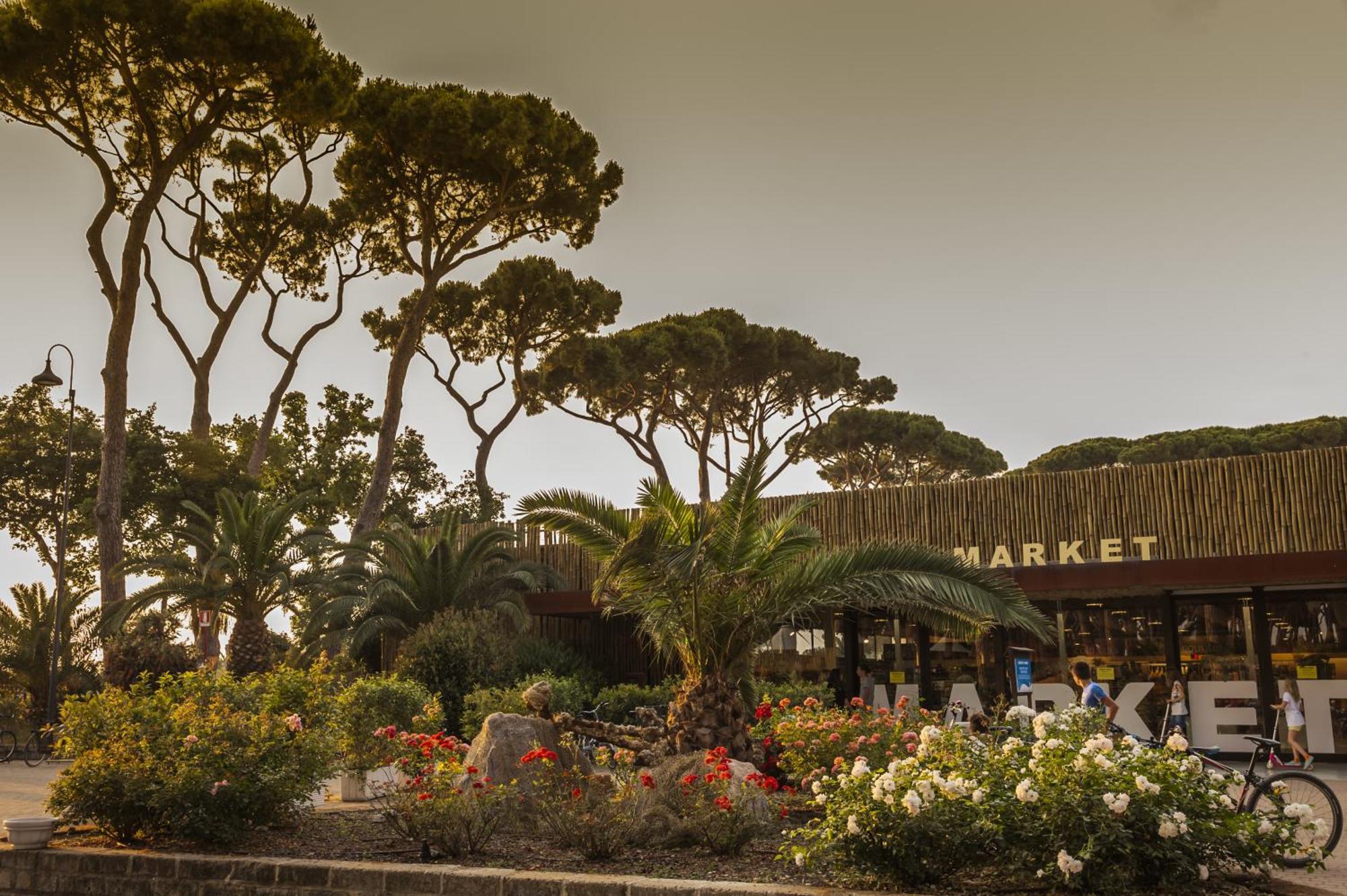 Hotel Il Mulinaccio ซานวินเชนโซ ภายนอก รูปภาพ